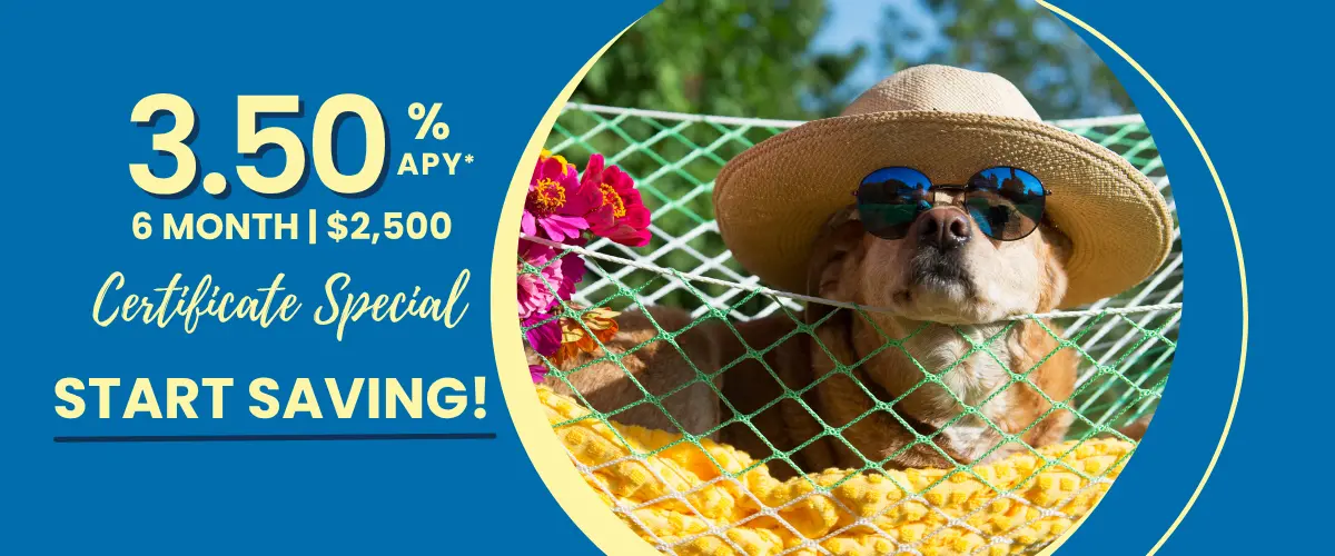 certificate promo article page spring 2024