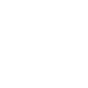 Small White Shield Symbol