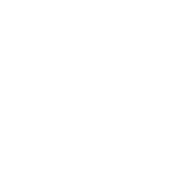 Deposits Icon