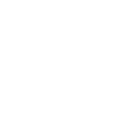 Deposits Icon