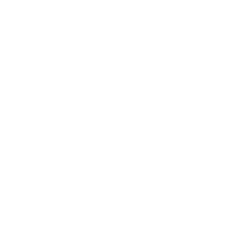 Deposits Icon