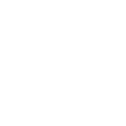 Deposits Icon