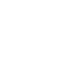 Deposits Icon